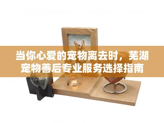 当你心爱的宠物离去时，芜湖宠物善后专业服务选择指南