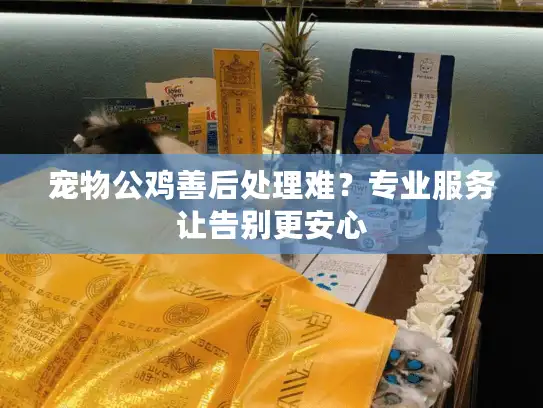 宠物公鸡善后处理难？专业服务让告别更安心