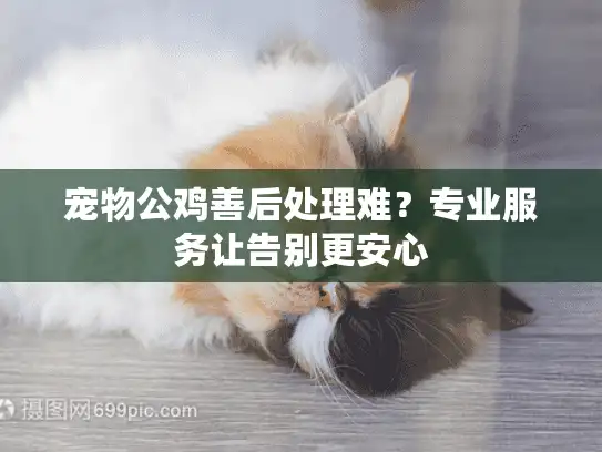 宠物公鸡善后处理难？专业服务让告别更安心