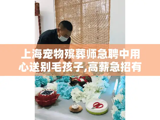 上海宠物殡葬师急聘中用心送别毛孩子,高薪急招有爱心的你!