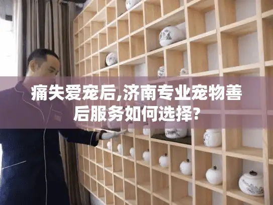 痛失爱宠后,济南专业宠物善后服务如何选择?