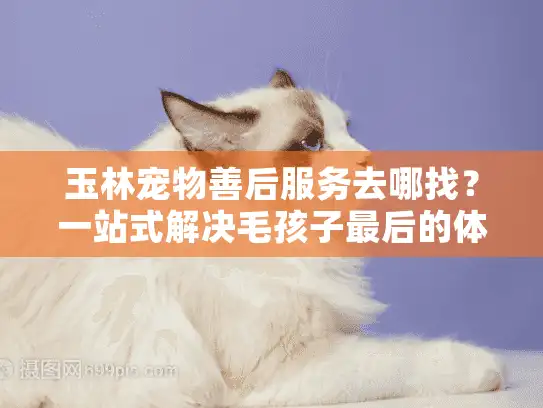 玉林宠物善后服务去哪找？一站式解决毛孩子最后的体面告别