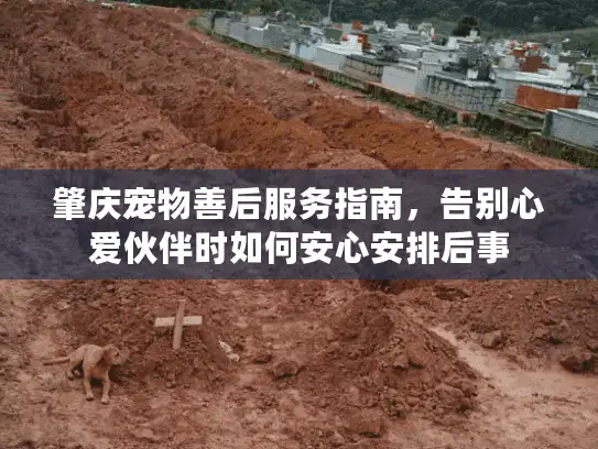 肇庆宠物善后服务指南，告别心爱伙伴时如何安心安排后事