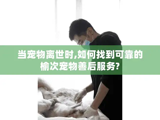 当宠物离世时,如何找到可靠的榆次宠物善后服务?