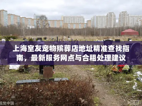 上海室友宠物殡葬店地址精准查找指南，最新服务网点与合租处理建议
