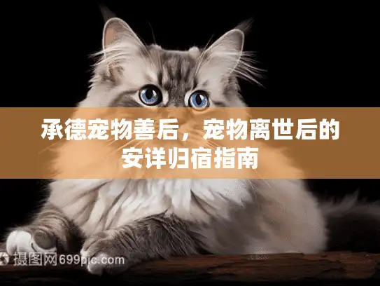 承德宠物善后，宠物离世后的安详归宿指南