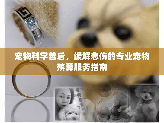宠物科学善后，缓解悲伤的专业宠物殡葬服务指南