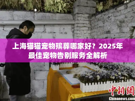上海猫猫宠物殡葬哪家好？2025年最佳宠物告别服务全解析
