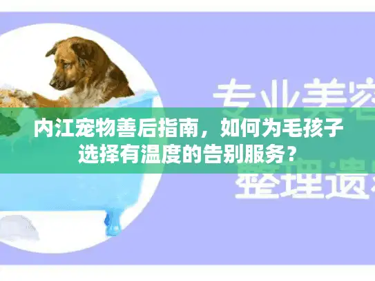 内江宠物善后指南，如何为毛孩子选择有温度的告别服务？
