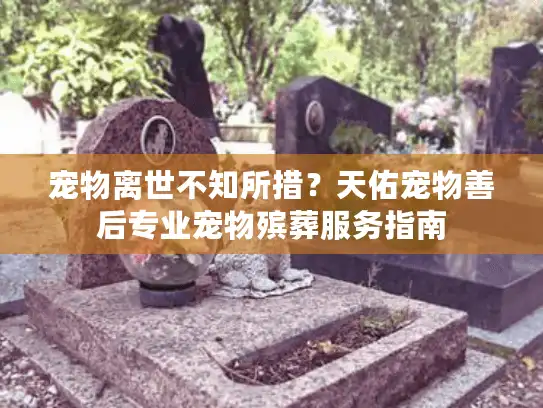 宠物离世不知所措？天佑宠物善后专业宠物殡葬服务指南