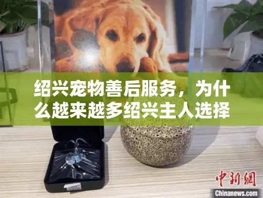 绍兴宠物善后服务，为什么越来越多绍兴主人选择专业火化？