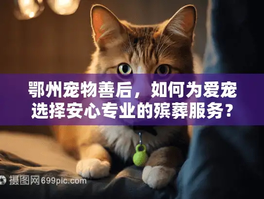 鄂州宠物善后，如何为爱宠选择安心专业的殡葬服务？