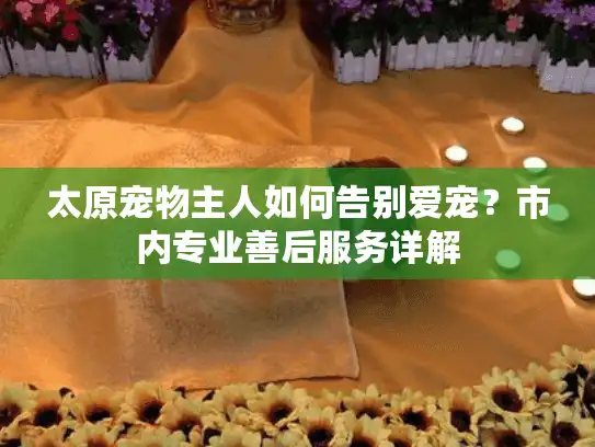 太原宠物主人如何告别爱宠？市内专业善后服务详解