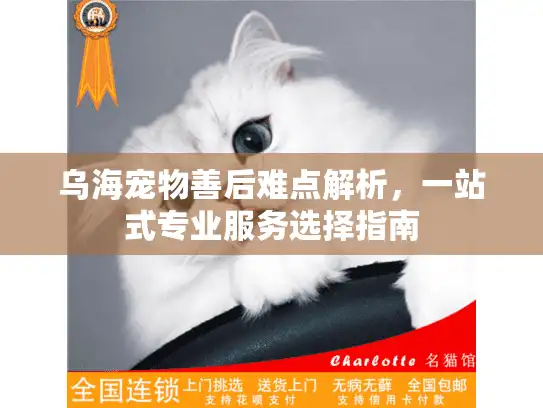 乌海宠物善后难点解析，一站式专业服务选择指南