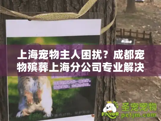 上海宠物主人困扰？成都宠物殡葬上海分公司专业解决方案
