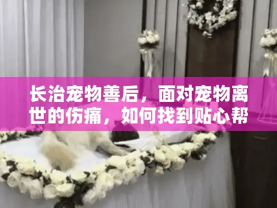长治宠物善后，面对宠物离世的伤痛，如何找到贴心帮助？