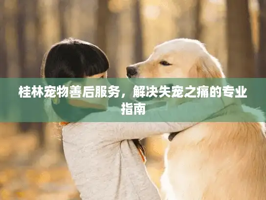 桂林宠物善后服务，解决失宠之痛的专业指南