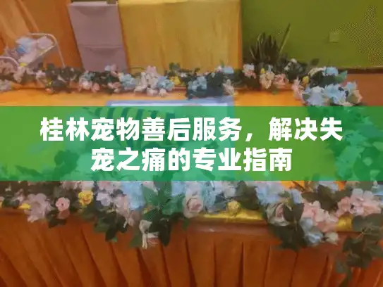 桂林宠物善后服务，解决失宠之痛的专业指南