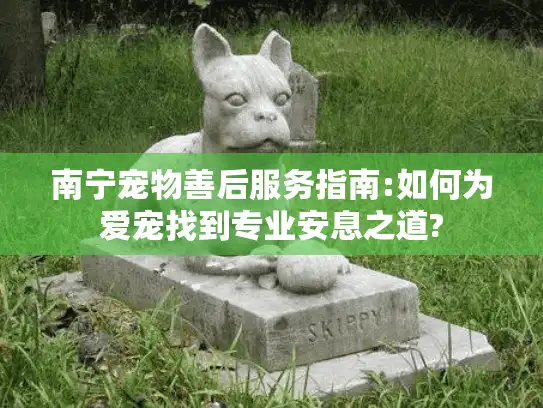 南宁宠物善后服务指南:如何为爱宠找到专业安息之道?
