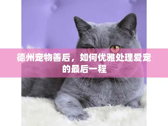 德州宠物善后，如何优雅处理爱宠的最后一程