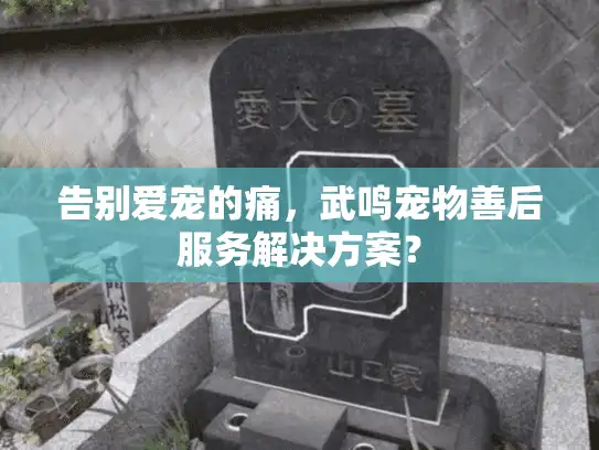 告别爱宠的痛，武鸣宠物善后服务解决方案？