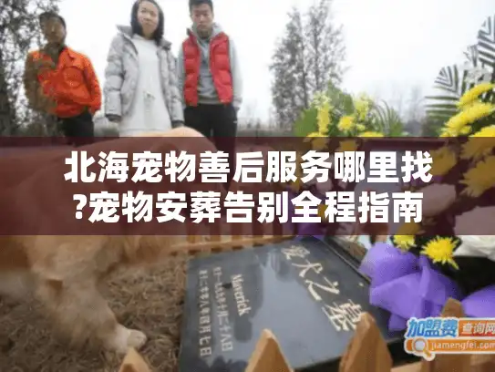 北海宠物善后服务哪里找?宠物安葬告别全程指南