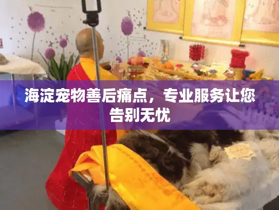 海淀宠物善后痛点，专业服务让您告别无忧