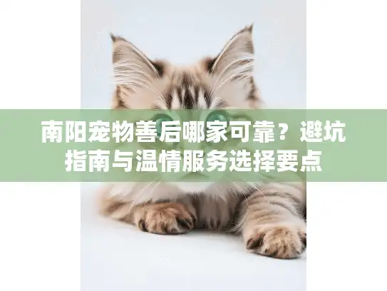南阳宠物善后哪家可靠？避坑指南与温情服务选择要点