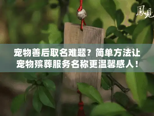 宠物善后取名难题？简单方法让宠物殡葬服务名称更温馨感人！