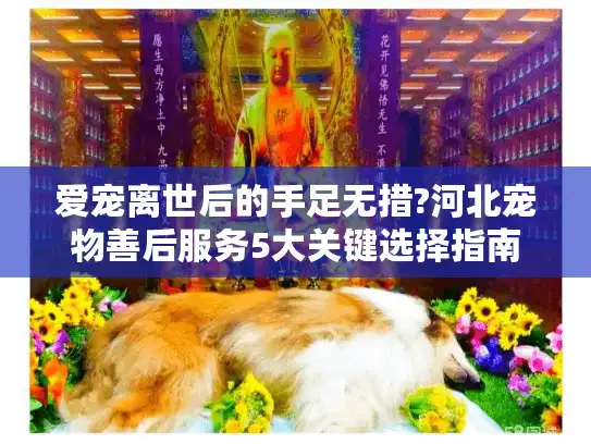 爱宠离世后的手足无措?河北宠物善后服务5大关键选择指南