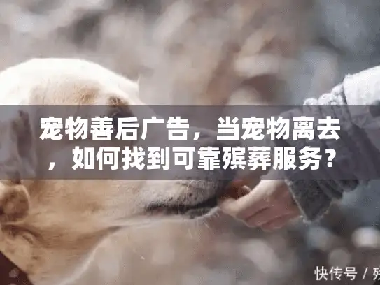 宠物善后广告，当宠物离去，如何找到可靠殡葬服务？