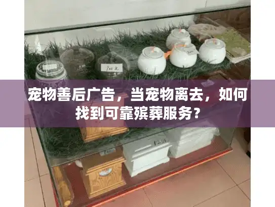 宠物善后广告，当宠物离去，如何找到可靠殡葬服务？