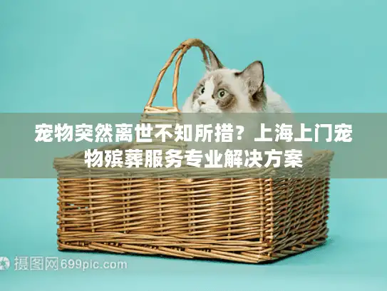 宠物突然离世不知所措？上海上门宠物殡葬服务专业解决方案