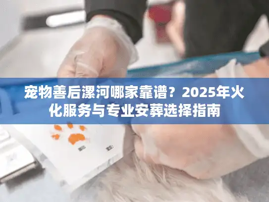 宠物善后漯河哪家靠谱？2025年火化服务与专业安葬选择指南