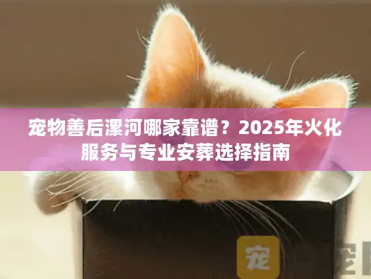 宠物善后漯河哪家靠谱？2025年火化服务与专业安葬选择指南