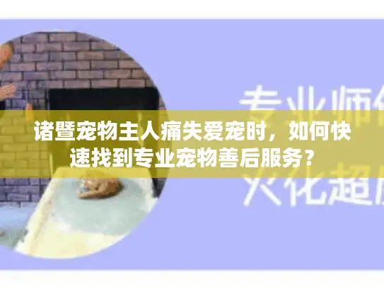 诸暨宠物主人痛失爱宠时，如何快速找到专业宠物善后服务？
