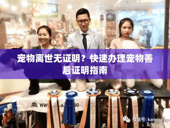 宠物离世无证明？快速办理宠物善后证明指南