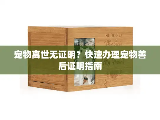 宠物离世无证明？快速办理宠物善后证明指南
