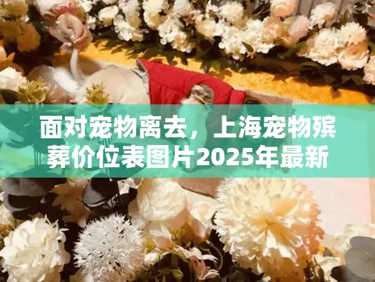 面对宠物离去，上海宠物殡葬价位表图片2025年最新查询指南