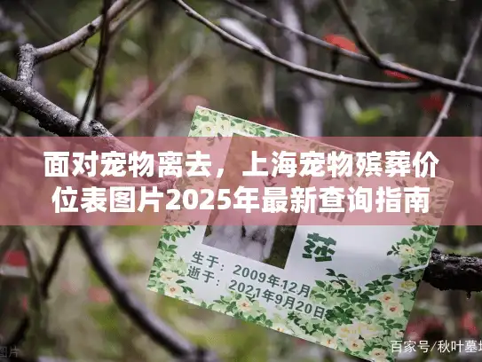 面对宠物离去，上海宠物殡葬价位表图片2025年最新查询指南