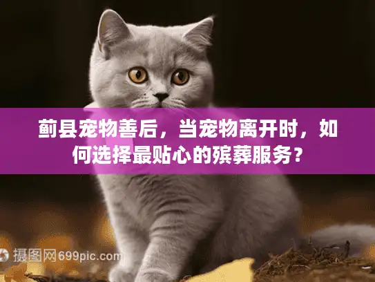 蓟县宠物善后，当宠物离开时，如何选择最贴心的殡葬服务？