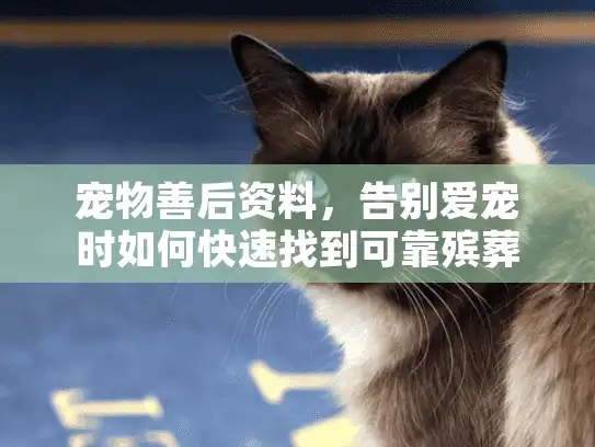 宠物善后资料，告别爱宠时如何快速找到可靠殡葬服务