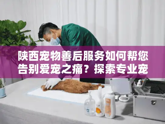陕西宠物善后服务如何帮您告别爱宠之痛？探索专业宠物殡葬方案
