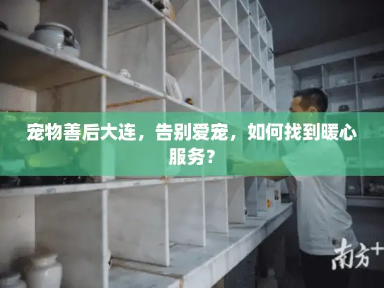 宠物善后大连，告别爱宠，如何找到暖心服务？