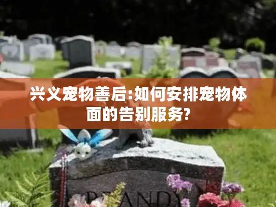 兴义宠物善后:如何安排宠物体面的告别服务?