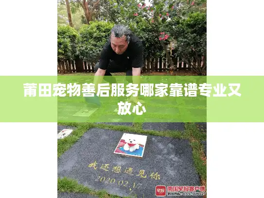 莆田宠物善后服务哪家靠谱专业又放心