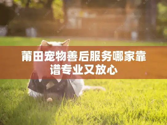莆田宠物善后服务哪家靠谱专业又放心
