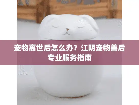 宠物离世后怎么办？江阴宠物善后专业服务指南