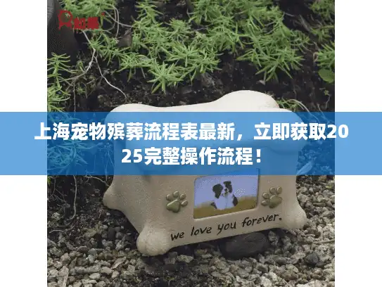 上海宠物殡葬流程表最新，立即获取2025完整操作流程！