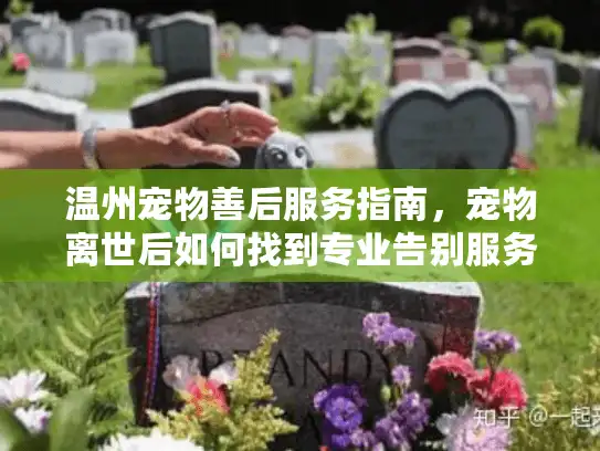 温州宠物善后服务指南，宠物离世后如何找到专业告别服务?